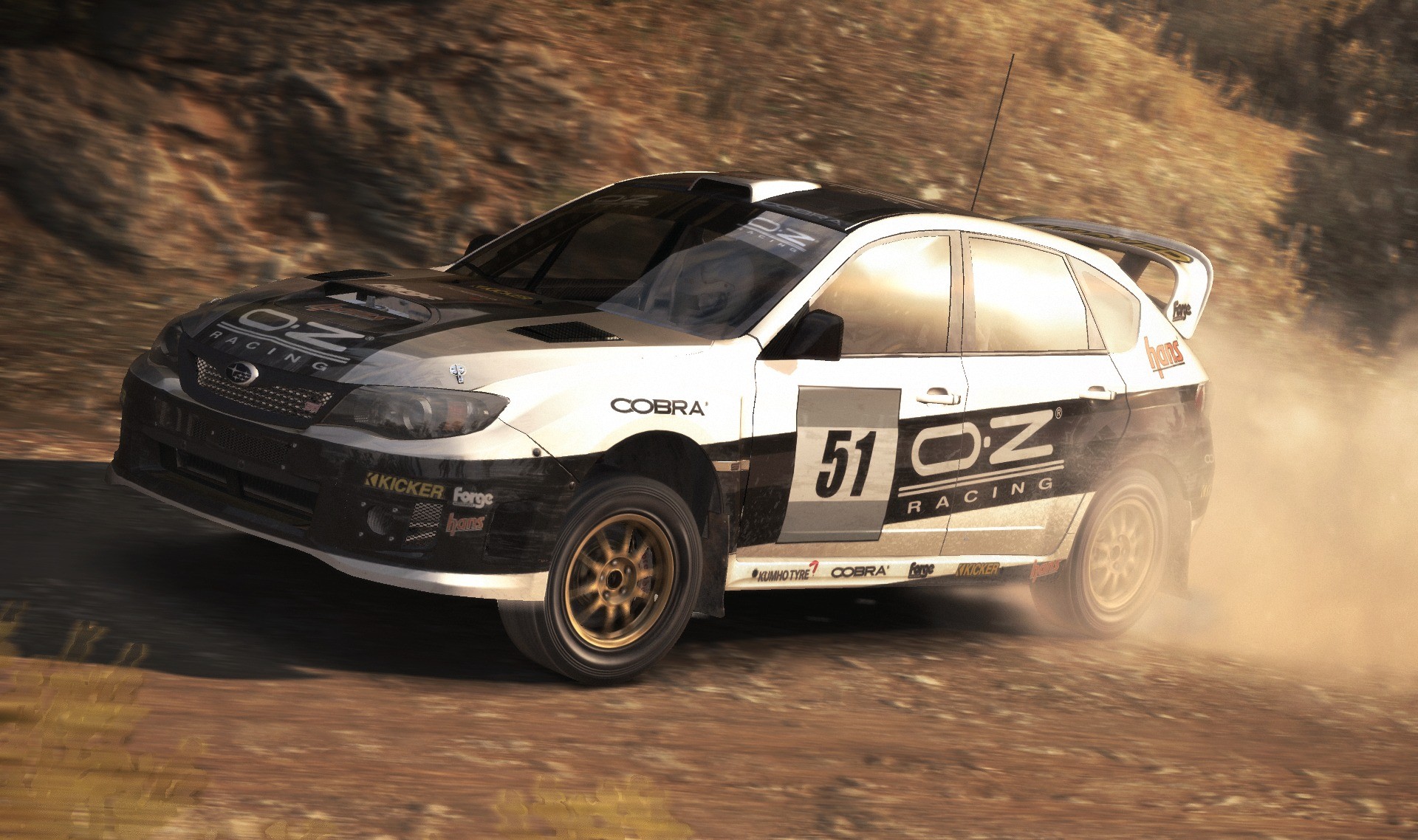 DiRT Rally - Imagen 33